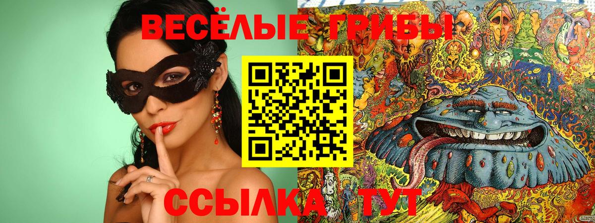 Галлюциногенные грибы прущие грибы Арзамас