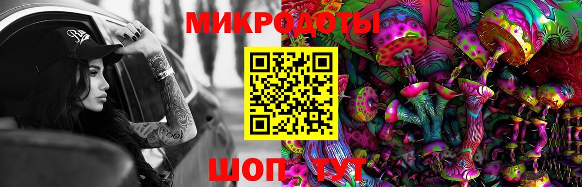 Арзамас  Псилоцибиновые грибы мухоморы  Вход с VPN 
